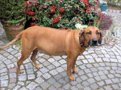 Chameena 10. Mai 2010